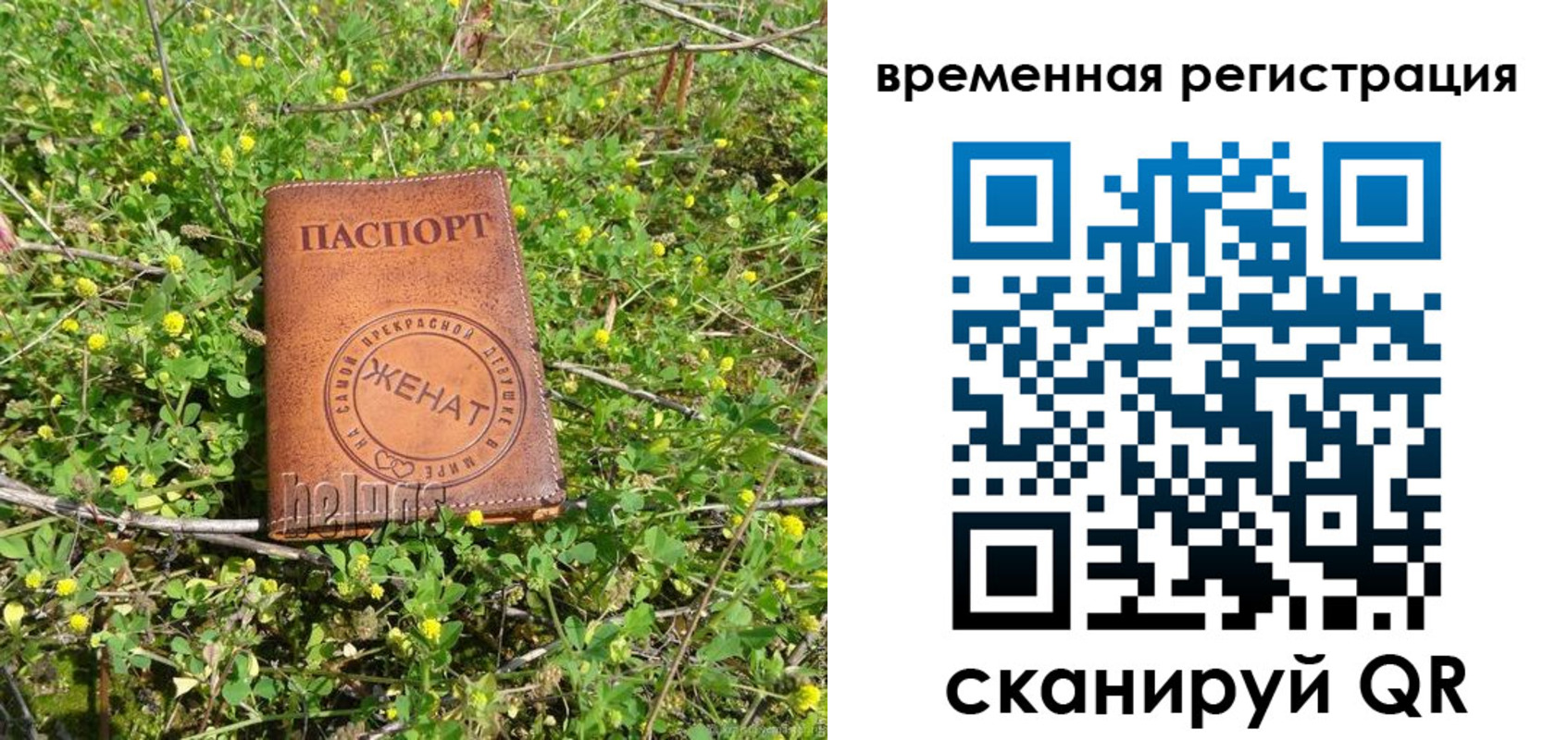 прописка регистрация в Десногорске